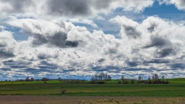 İspanya 'nın Burgos eyaletinde bahar ekini manzarası
