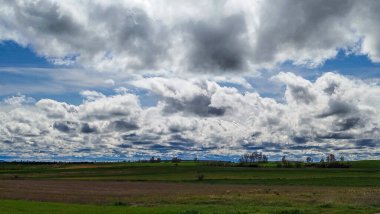 İspanya 'nın Burgos eyaletinde bahar ekini manzarası