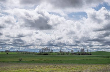 İspanya 'nın Burgos eyaletinde bahar ekini manzarası