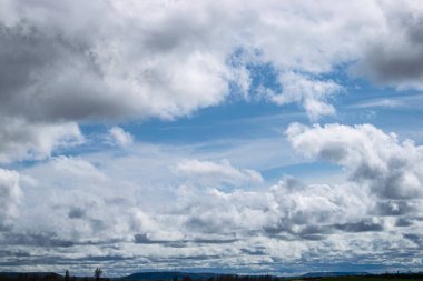 Bulutlar ve ekin tarlalarıyla bahar gökyüzü arkaplanı