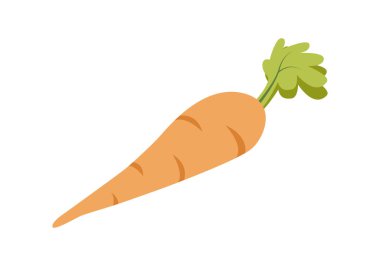 Yeşil yapraklı turuncu havuç.