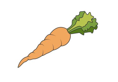 Turuncu, yeşil yapraklı kıvrımlı havuç.