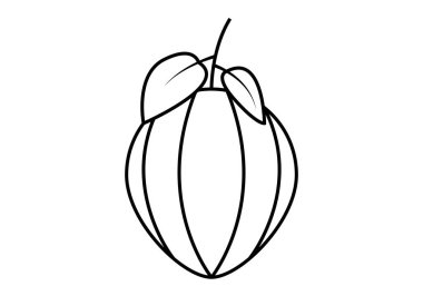 Beyaz arkaplanda siyah kakao meyvesi simgesi