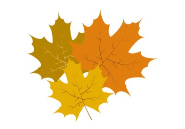 Beyaz arkaplanda kuru yapraklar yığını