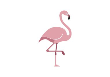 Beyaz arkaplanda pembe flamingo
