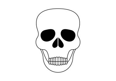 Beyaz arka planda kafatası ya da insan kafatası