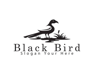 siyah kuş logosu yaratıcı tasarım konsepti kuzgun hayvan vektörü