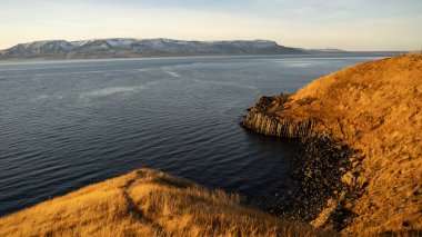 Kışın İzlanda 'nın kayalık kıyı şeridi.