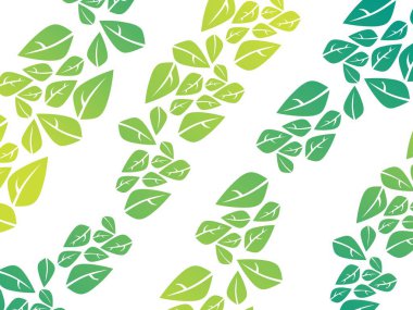 beyaz arkaplanda yeşil yapraklar