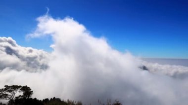 Closeup of the astonishing cloudscape. The surging churning sea of clouds and blue sky Scenic view form an interesting video. High quality video photography in Eryanping Trail Alishan Taiwan.High angle view.Wide-angle lens.