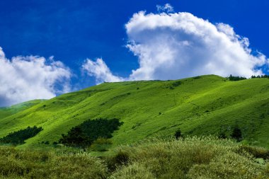Göz kamaştırıcı bulut manzarası ve dağ manzarası. Büyüleyici yeşil dağ tepeleri, yürüyüş yolları ve mavi bulutlu gökyüzü manzaralı bir manzara yaratır. Yüksek kaliteli fotoğraf, Hehuan Dağı, Tayvan. Markalaştırmada, takvimde, kartpostalda, ekran kaydında, posterde, web sitesinde,.