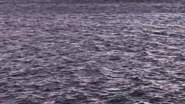 Gün batımında hızlı hareket eden deniz dalgası. Büyüleyici ışık ve gölge, inanılmaz akış hızı ve çekici dalgalanma nadir bir kısa video oluşturur. Dapeng Körfezi, Pingtung İlçesi Tayvan, 4K Yüksek açı, Geniş açı mercek. 