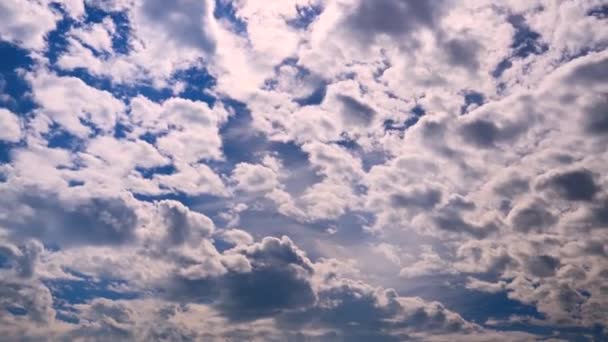 暴风雨前浓密的云彩 滚滚的云彩在城市上空飞舞 广阔的美丽天空和闪烁的明亮的云彩形成了一个壮观的环境视频 台北市摄影 4K低角度镜头 中摄象机镜头 — 图库视频影像