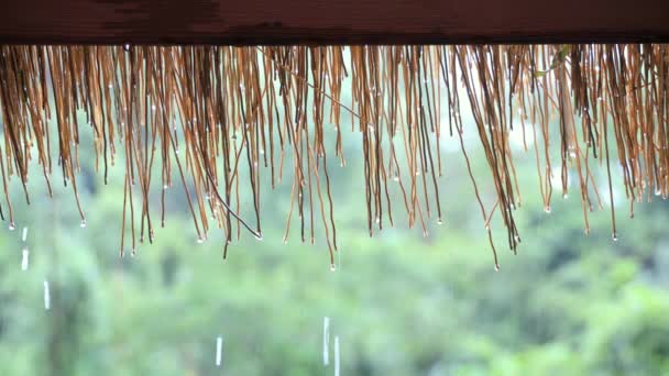 雨天雨滴滑落 雨点落在加泽本的茅草屋顶上 台湾高雄县莱一镇的风景摄影疗伤 低角度镜头 中心灵感应镜头 — 图库视频影像
