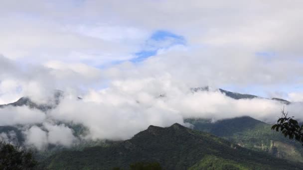Zdumiewający Chmurny Krajobraz Twoich Oczach Spiętrzejące Morze Chmur Szczycie Zielonej — Wideo stockowe