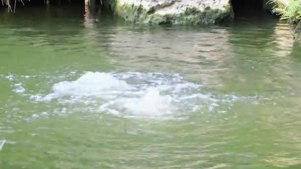 Vackert Utlopp Underjordiska Vatten Rullande Vatten Stänk Och Smaragd Grönt — Stockvideo