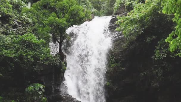 Zbliżenie Fal Górnej Części Pięknego Wylotu Wodospadu Pobliżu Drzewa Wstrząsająca — Wideo stockowe