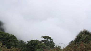 Vadinin dibinden bulutlar yükseliyor. Yuvarlanan tepelerin kapatılması, sisli bulutlar ve hayret verici bulutlar manzarayı oluşturur. Hehuanshan, Tayvan 'da yüksek kaliteli video fotoğrafçılığı. 4K.