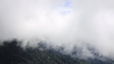 Şaşırtıcı bulut manzarasına yakın çekim. Yeşil dağın tepesindeki dalgalı, çalkantılı bulut denizi ve mavi gökyüzü manzaralı bir manzara oluşturur. İnanılmaz kaliteli video, Hehuanshan, Tayvan. 4K 