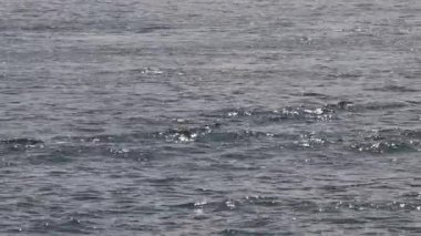 Dalgalar ve yıldızlar gibi parlayan deniz suyu. Muhteşem bir manzara, büyüleyici bir ışık ve gölge Kaohsiung Limanı, Tayvan 'daki şok dalgası spreyinin fotoğrafı. Yüksek açılı yakın çekim. Gerçek zamanlı.