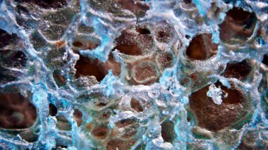 Mikroskobik Büyütme Altında Ekmeğin Detaylı Görünümü