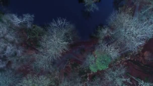 Floresta Com Pequenas Ilhas Inverno Durante Crepúsculo Friesland Holanda Drone — Vídeo de Stock