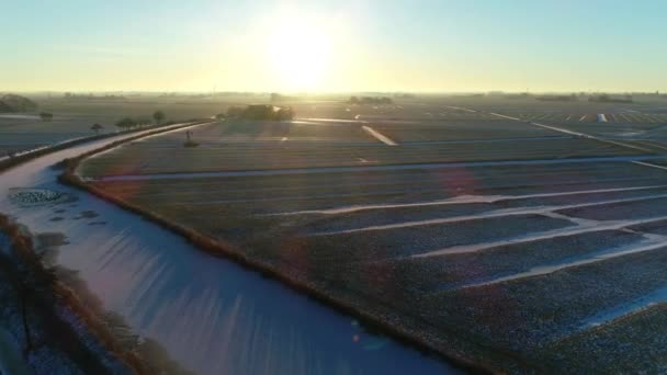Ducks Frozen Canal Sunrise Friesland Netherlands Drone Footage — Stock video