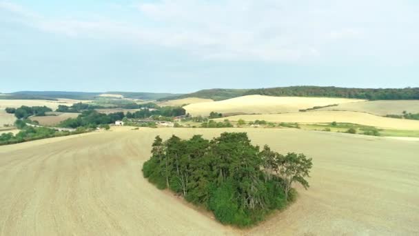 Невелика Зелена Пляма Посушливому Шторному Полі Верхня Марна Франція Drone — стокове відео