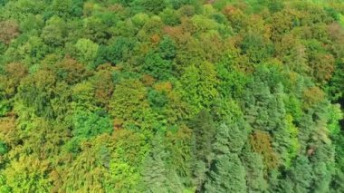 Hava Çekimi Tamamen Yeşil Orman ile Dolu - Fransa 4K İHA Görüntüsü
