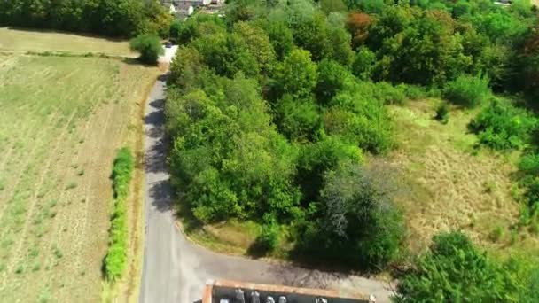 Joinville Antigo Cemitério Judaico Inclinar Haute Marne França Drone Footage — Vídeo de Stock