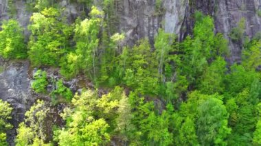 Dağın Dik Uçurumunda Büyüyen Ağaçlar, Yükselen Atış - Grovane, Norveç 2.7K Hava Görüntüsü