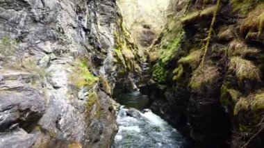 Bordalsgjelet Boğazı 'ndan Güzel Yosun Çıkışlı Voss, İleri Çekim Norveç 2.7K Hava Görüntüsü