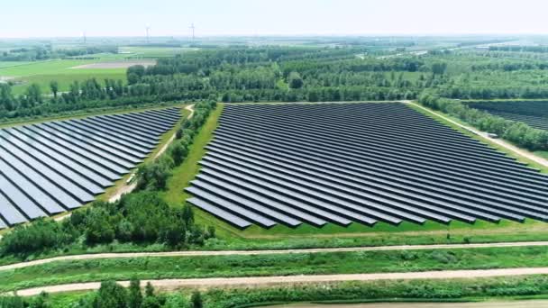 Τρία Εκτεταμένα Ηλιακά Πάρκα Που Παράγουν Καθαρή Ενέργεια Flevoland Ολλανδία — Αρχείο Βίντεο