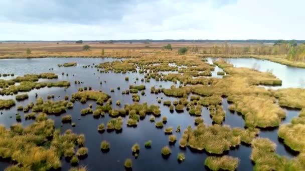 ぬれたヒートランドの自然 デンガーフェルト Drenthe オランダ 4Kドローンフッテージ — ストック動画