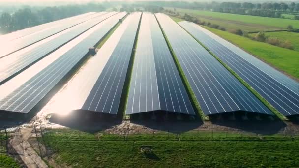 Gran Parque Solar Con Ocho Filas Largas Paneles Solares Garijp — Vídeos de Stock