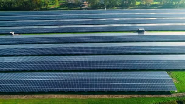 Muchos Miles Paneles Solares Filas Limpias Para Energía Sostenible Garijp — Vídeos de Stock