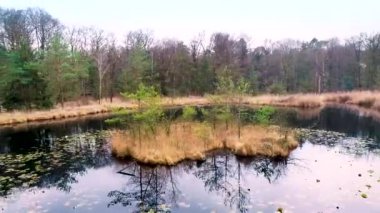 Göldeki Ağaçlarla Küçük Bir Adanın Çevresinde Uçmak, Dönen Atış - Friesland, Hollanda, 4K Drone Görüntüleri