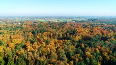 Güzel Sıcak Renkli Sonbahar Ormanı, Evleri ve Yolları Overijssel, Hollanda, 4K Drone Görüntüleri