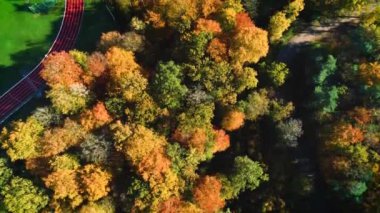 Pistin yanındaki Güzel Sonbahar Ormanı - Overijssel, Hollanda, 4K Drone Görüntüsü