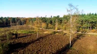 Güzel bir sonbahar ormanı içinde çalışan bir pisti açığa çıkarmak - Overijssel, Hollanda, 4K Drone Görüntüleri