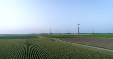Uçan Alçak Ekinler, Sağdaki Rüzgar Çiftliği Friesland, Hollanda, 4K Drone Görüntüleri