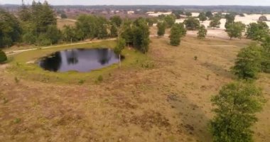 Heath Nature 'daki Küçük Gölet - Friese Wold, Hollanda, 4K Drone Görüntüsü