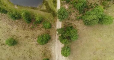 Bir Göl ve Orman Arasındaki Kum Yolu, Üst Aşağı Drents Friese Wold, Hollanda, 4K Drone Görüntüleri