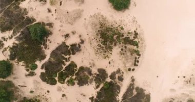 Soyut Doğa, Heath ve Kum, Dönen Atış - Friese Wold, Hollanda, 4K Drone Görüntüleri