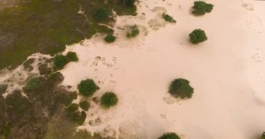Güzel Kum ve Heath Nature, Tilt Up - Drents Friese Wold, Hollanda, 4K Drone Görüntüleri