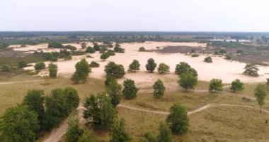 Güzel Kum ve Heath Doğa 'nın Üzerinde Yavaşça Uçan Friese Wold, Hollanda, 4K Drone Görüntüleri