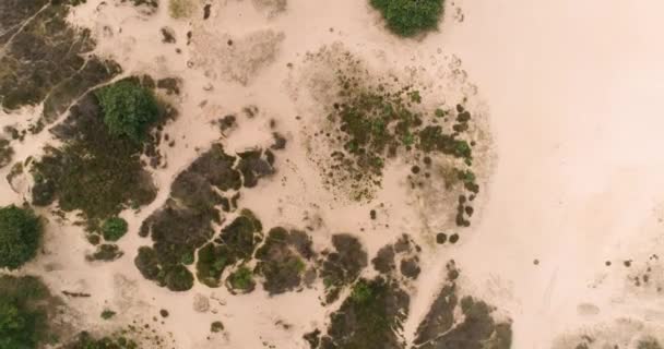 抽象的な自然 ヒースと砂 回転ショット ドクターフライスウォールド オランダ 4Kドローンフッテージ — ストック動画