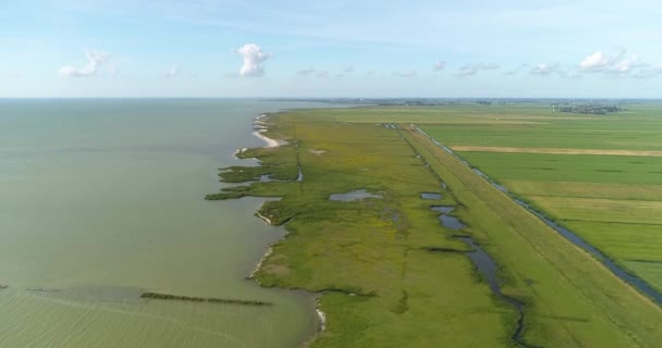 Dutch Nature Ijsselmeer Flat Green Fields Workum Frisia Países Bajos — Vídeos de Stock