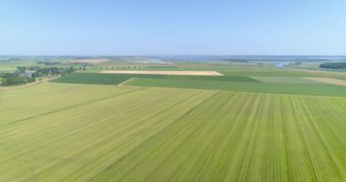 Geniş Tarım Alanları, Monokültür Panoraması - Friesland, Hollanda, 4K Drone Görüntüleri