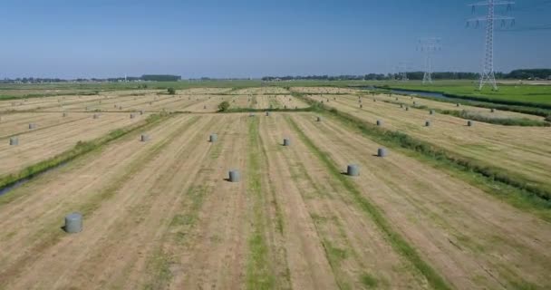 Flying Wrapped Siano Bales Dutch Meadow Holandia Nagranie Drona — Wideo stockowe